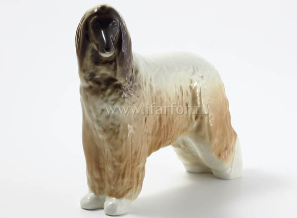 Sculpture Afghan Hound (big size) Indefined