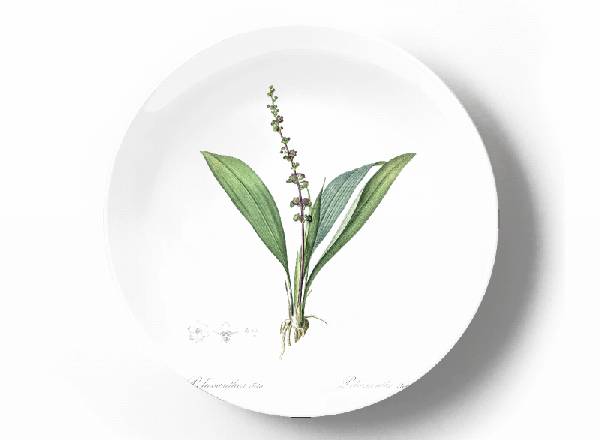 Декоративная тарелка Пьер Жозеф Редуте Ландыш майский
