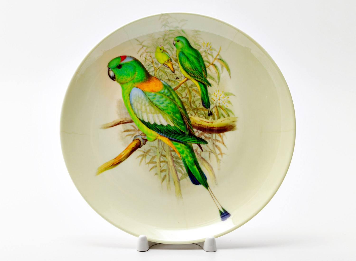 Декоративная тарелка «Три волнистых попугайчика» Фарфор. 200 мм.