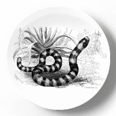 PST000562