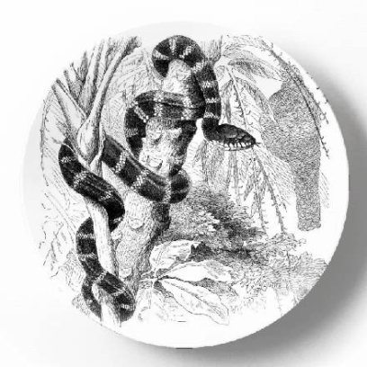 PST000564