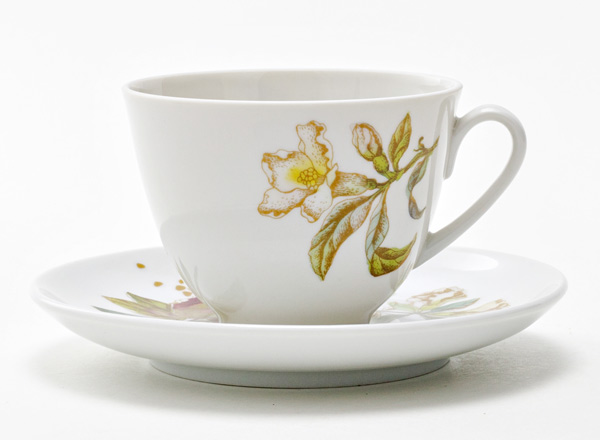 Чашка с блюдцем чайная Гранаты Весенняя