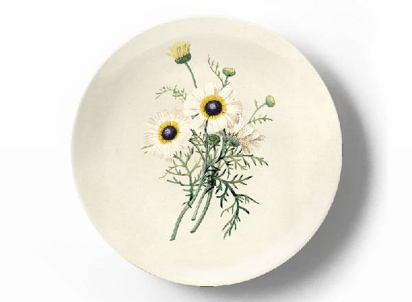 Decorative plate Pierre-Joseph Redouté Chamomile pharmacy