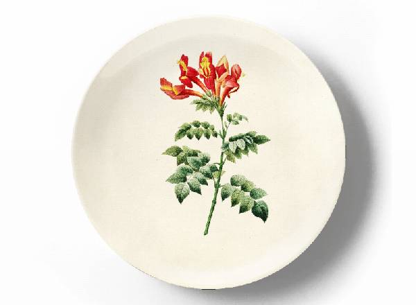 Decorative plate Pierre-Joseph Redouté Bignonia Capensis