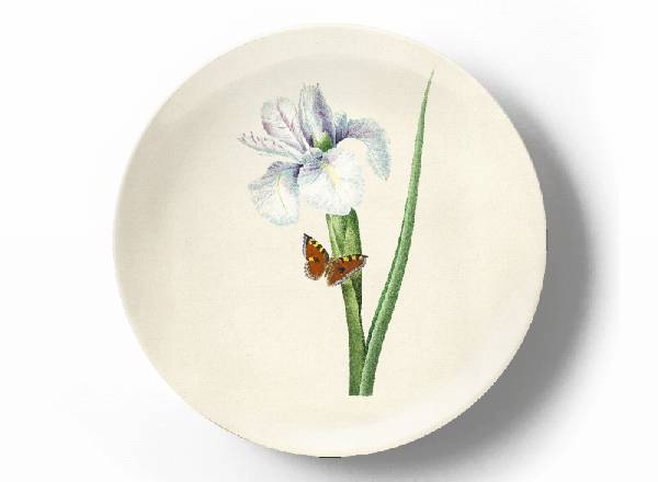Decorative plate Pierre-Joseph Redouté Spanish iris flower