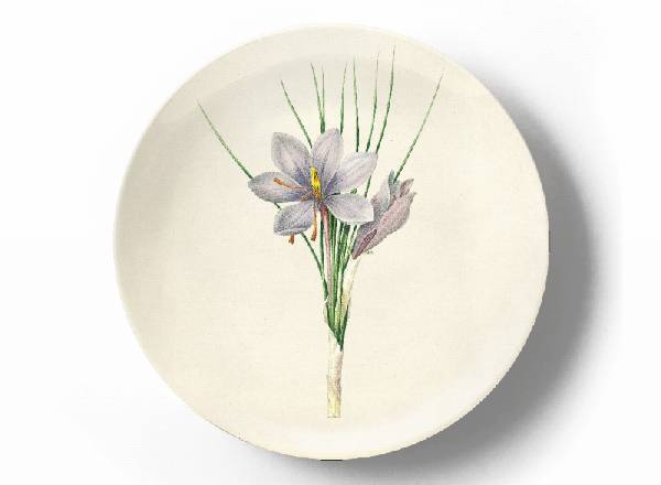 Decorative plate Pierre-Joseph Redouté Purple Crocus Sativus flower