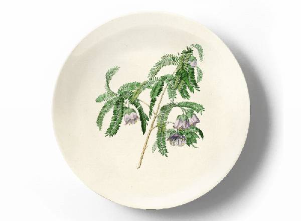 Decorative plate Pierre-Joseph Redouté Cadia