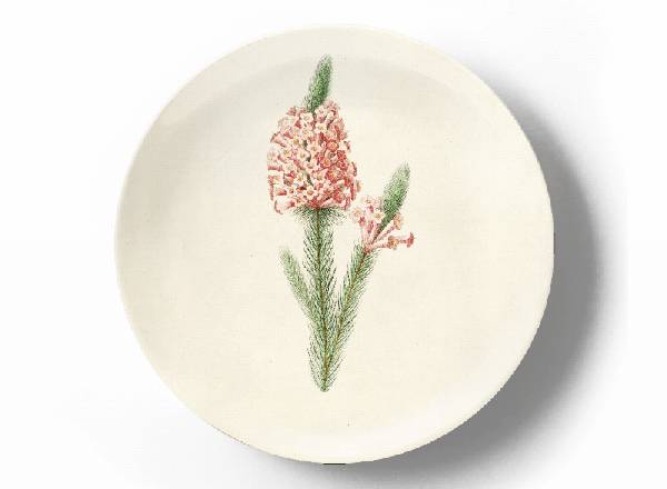 Decorative plate Pierre-Joseph Redouté Dried ranunculus