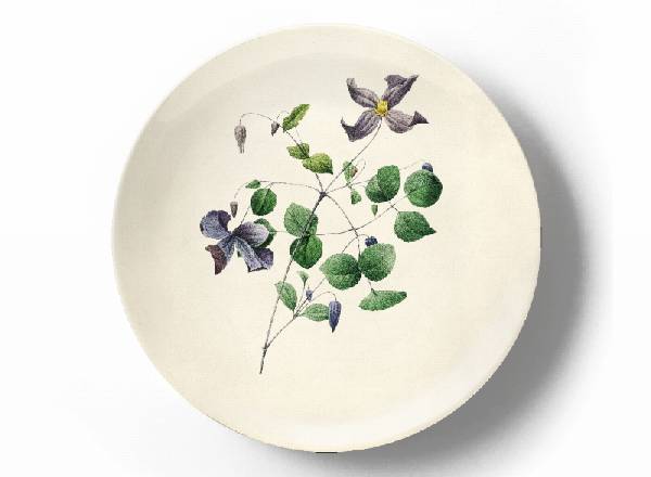 Decorative plate Pierre-Joseph Redouté Purple Lomonosus