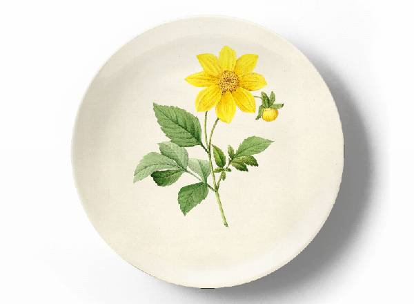 Decorative plate Pierre-Joseph Redouté Rosa Centifolia Bullata