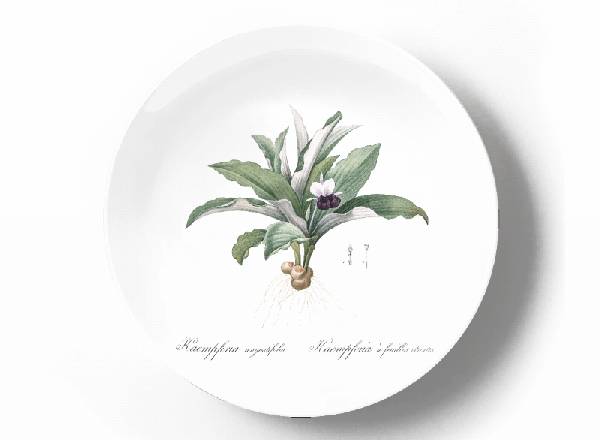 Decorative plate Pierre-Joseph Redouté Kaempferia