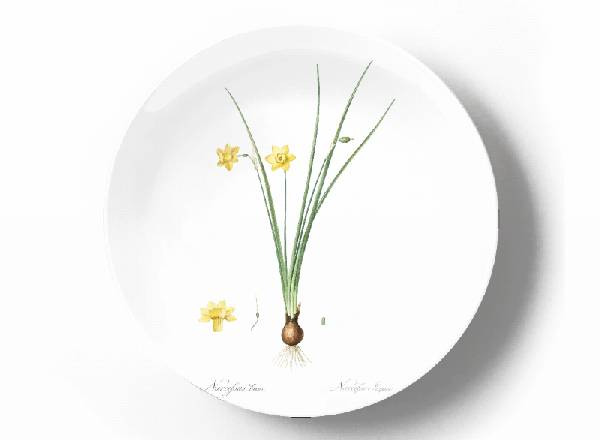 Decorative plate Pierre-Joseph Redouté Royalty Free Narcissus