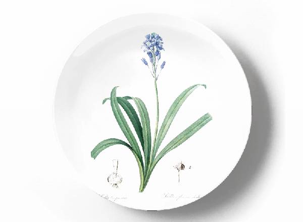 Decorative plate Pierre-Joseph Redouté Spanish bluebel