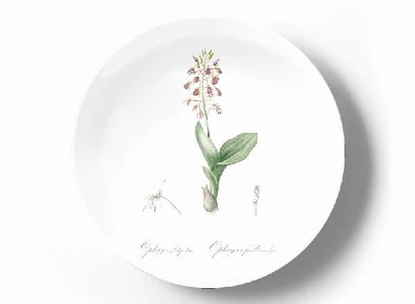 Decorative plate Pierre-Joseph Redouté Liliifolia