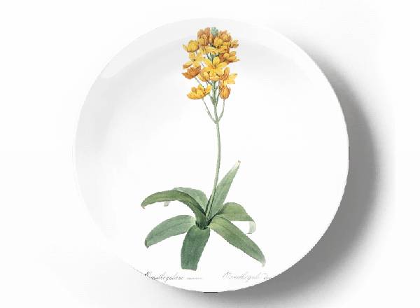 Decorative plate Pierre-Joseph Redouté Ornithogalum