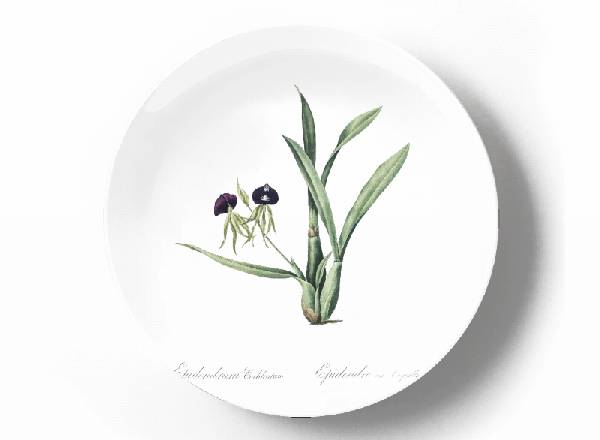 Decorative plate Pierre-Joseph Redouté Epidendrum
