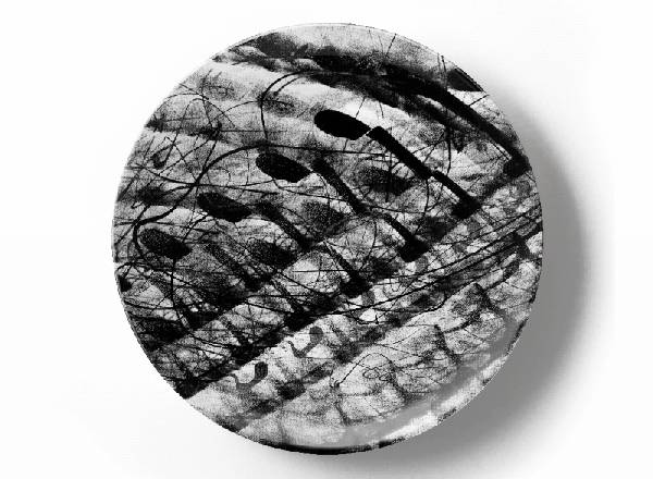 Декоративная тарелка Грег Ван Дайк Композиция Номер 3