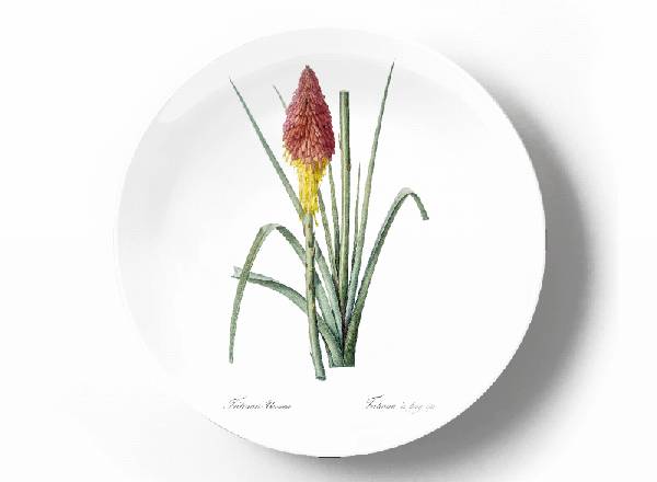 Decorative plate Pierre-Joseph Redouté Kniphofia Uvaria