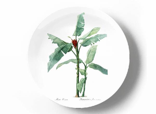 Decorative plate Pierre-Joseph Redouté Tropical plant Red Torch Banana