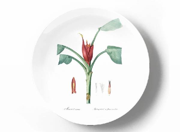 Decorative plate Pierre-Joseph Redouté Red Torch Banana