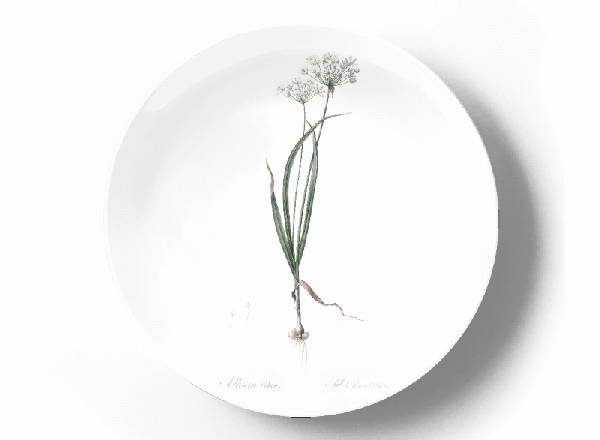 Decorative plate Pierre-Joseph Redouté Allium cyrilli