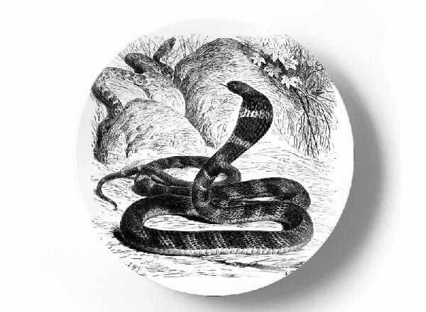 Decorative plate Karl Gustav Jahrmargt Cobra